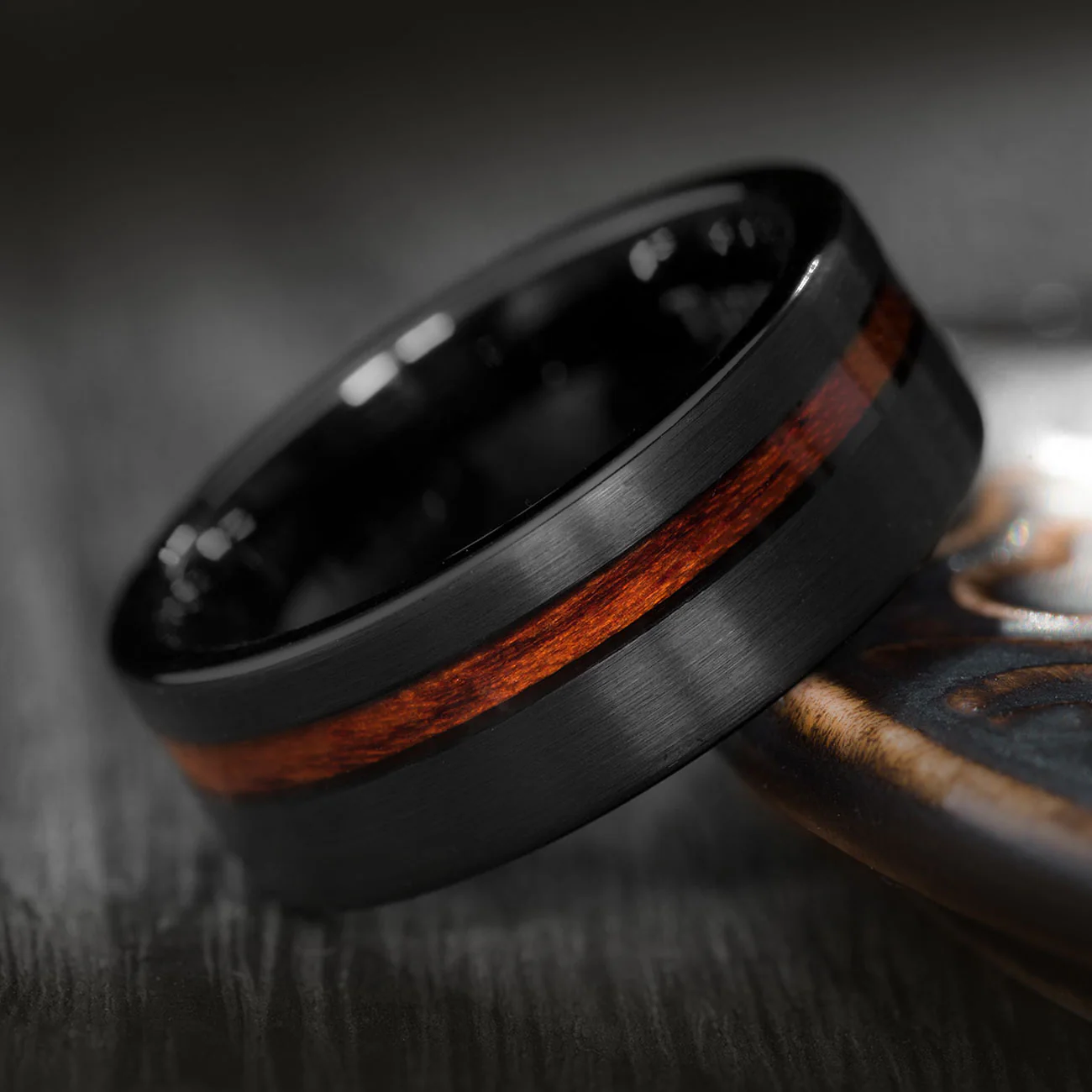 THE JURASSIC - Image 4