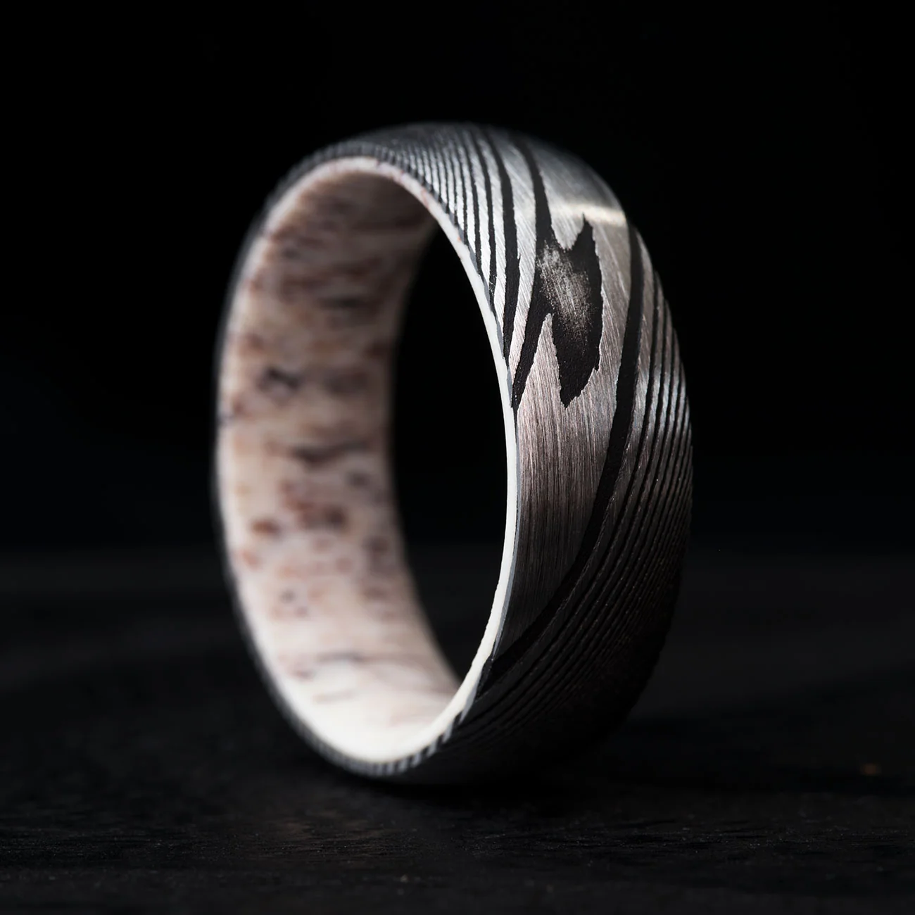 THE PALADIN - Image 3