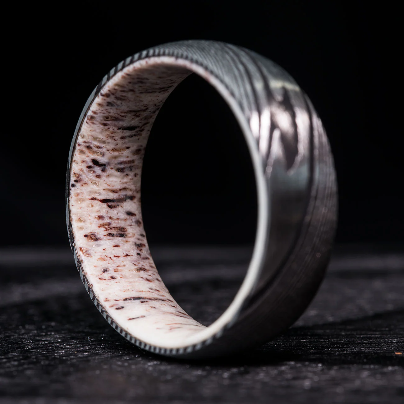 THE PALADIN - Image 4