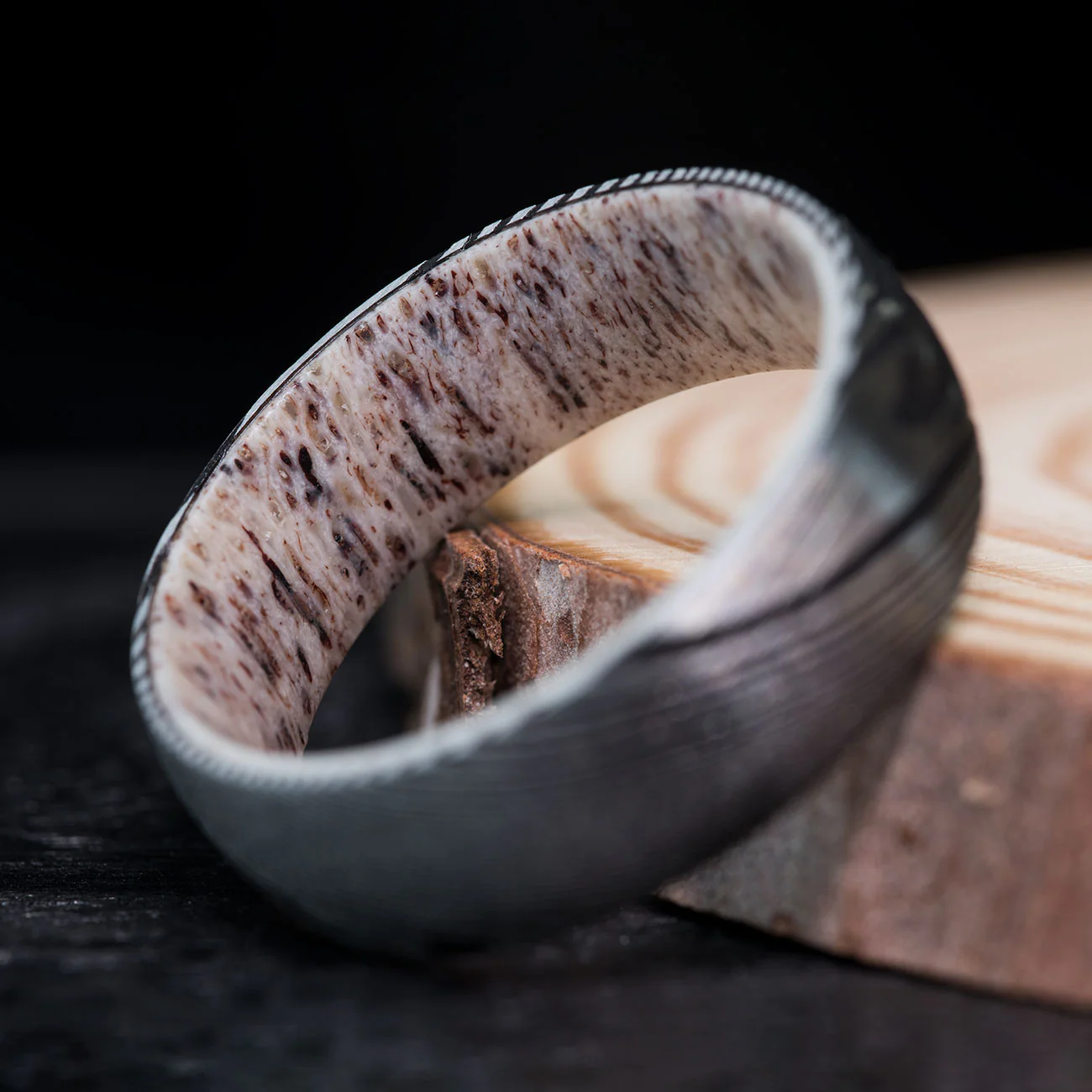 THE PALADIN - Image 5