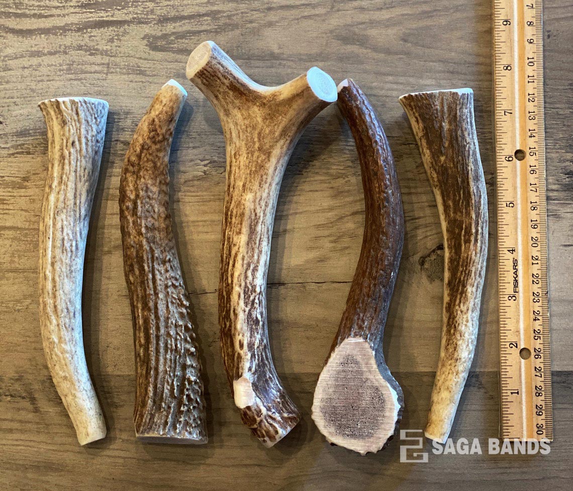 THE WILD KING - Image 7