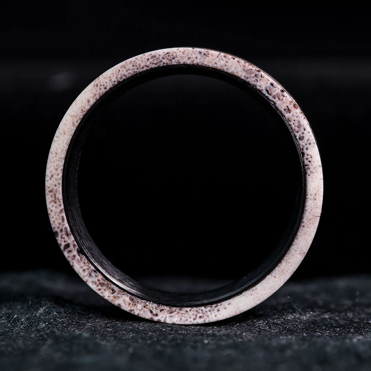 THE WILD KING - Image 6